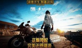 吃鸡大爆料卡点视频,卡点视频背后的精彩瞬间